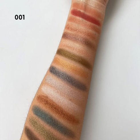 16 Colors Palette Occhi Ombretti Opachi e Brillanti