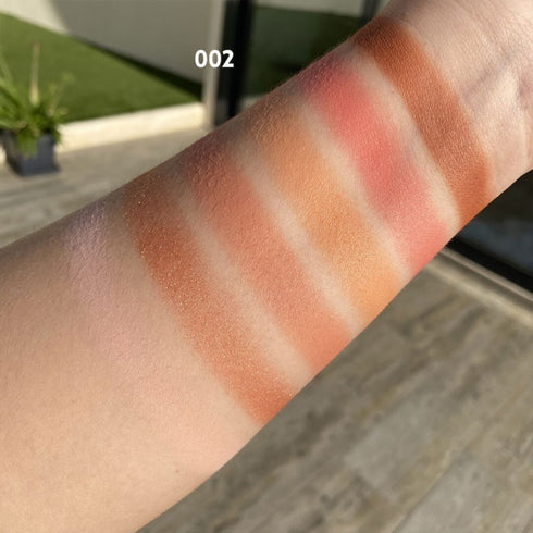 6 Colors Mini Palette Occhi Ombretti Opachi e Brillanti