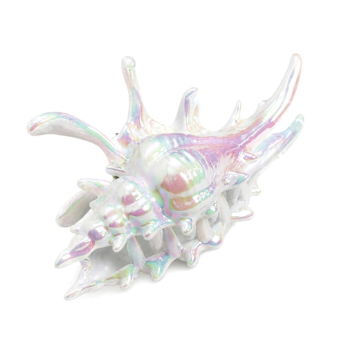 Pinza per Capelli a forma di Conchiglia Marina Iridescente Effetto Perlato Wynie